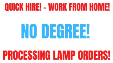 Quick Hire Work From Home Job | No Degree | Processing Lamp Orders | Remote Job Hiring Now