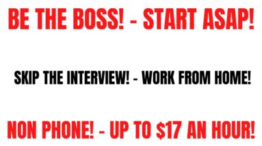 Hiring Asap | Up To $17 An Hour | Skip The Interview | Non Phone Work From Home Job | Work Whenever