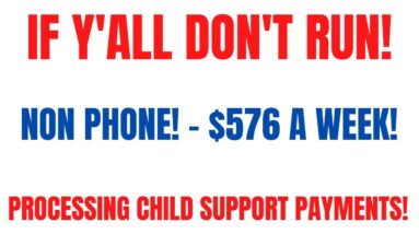 If Y'all Don't Run!  | Non Phone Work From Home Job | $576 A Week |Processing Child Support Payments