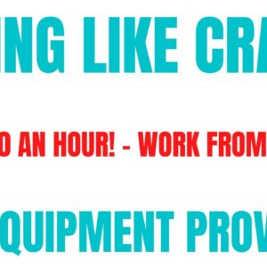 Hiring Like Crazy | $19-$20 An Hour Work From Home Job | All Equipment Provided | Online Job Hiring
