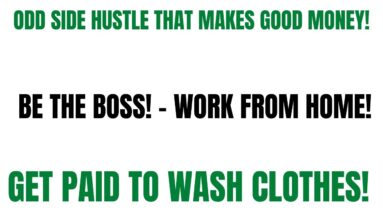 Go Sign Up Today! Easy Peasy Side Hustle | Get Paid To Wash Clothes | Work From Home Job