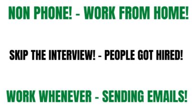 Non Phone Work From Home Job | Skip The Interview = People Got Hired |Work Whenever | Sending Emails