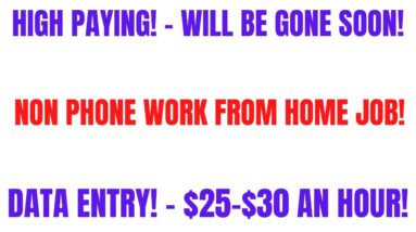 High Paying! Will Be Gone Soon | Non Phone Work From Home Job | Data Entry $25-$30 An Hour | Remote