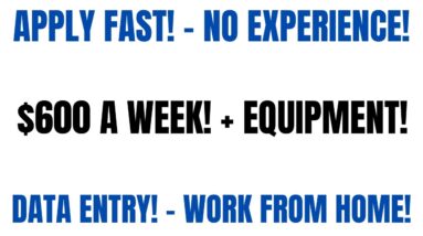 Apply Fast! Work Will Be Gone Soon | No Experience $600 A Week | Data Entry Work From Home Job