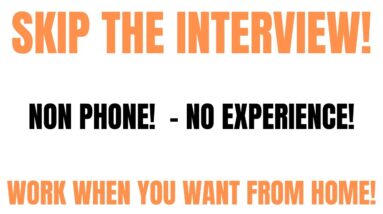 Skip The Interview | Non Phone - No Experience | Work When You Want Work From Home Job | Remote Job