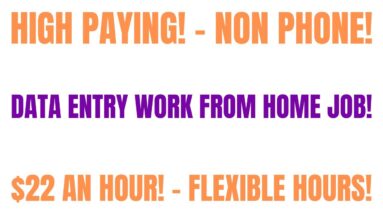 High Paying Non Phone Work From Home Job | Data Entry | $22 An Hour | Flexible Hours | Remote Job