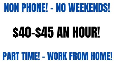 Non Phone Work From Home Job | Part Time - No Weekends | $40 - $45 An Hour Work At Home Job