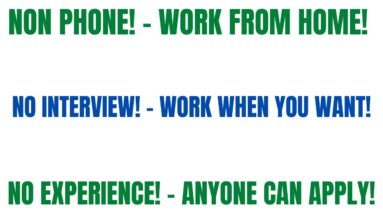 Non Phone Work From Home Job | No Interview | No Experience | Work Whenever You Want | Online Job