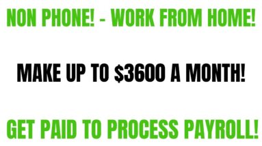 Get Paid To Process Payroll Checks | Up To $3600 A Month | Work From Home Job | No Degree | Remote