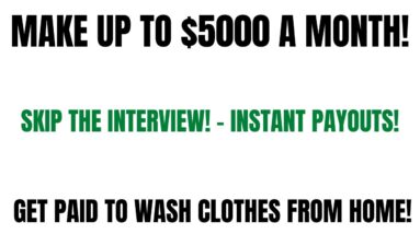 Make Up To $5000 A Month | Skip The Interview! | Get Paid To Wash Clothes| Work From Home Job