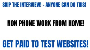 Skip The Interview | Easy Non Phone | Get Paid To Test Websites | Work From Home Job | Side Hustle