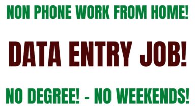 Non Phone Work From Home Job | Data Entry Work At Home Job | No Weekends | Online Jobs #jobsearch