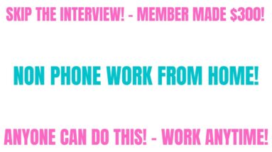 Member Made $300 From Home | Skip The Interview | Non Phone | Work This Anytime | Work From Home Job