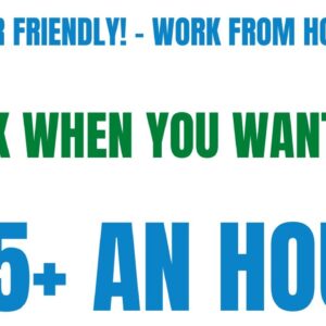 Beginner Friendly Work From Home Job | No Experience Online Job Work When You Want | $25 An Hour