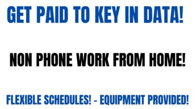 Non Phone Work From Home Job | Keying In Data | Flexible Schedules | Equipment Provided Online Job