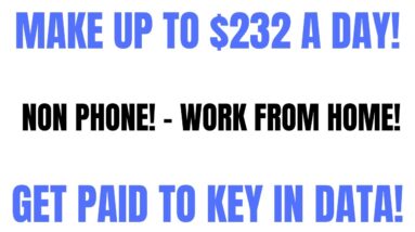 Make Up to $232 A Day | Non Phone Work From Home Job | Get Paid To Key In Data | Remote Job | Online
