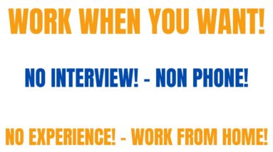 Work When You Want | No Interview | No Experience | Non Phone Work From Home Job | Online Jobs