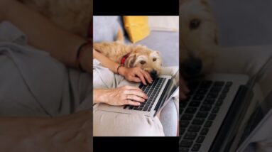 NO TALKING REMOTE JOB! $20 PER HR! NO DEGREE REQD NON PHONE WORK FROM HOME JOBS 2023