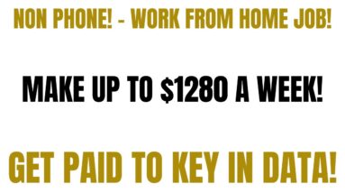 Non Phone Work From Home Job | Make Up To $1280 A Week | Get Paid To Key In Data Online Job