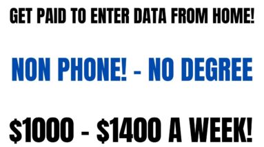 Get Paid To Enter Data | Non Phone Work From Home Job | $1000 - $1400 A Week | Online Job 2023