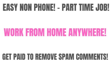 Easy Non Phone Part Time Work From Home Job | Work From Anywhere! | Get Paid To Remove Spam Comments