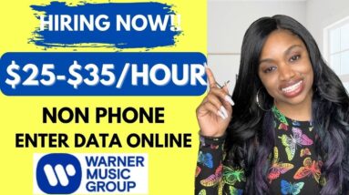 🔥$25-$35 PER HOUR TO ENTER DATA ONLINE I WMG REMOTE JOBS I WORK FROM HOME 2023