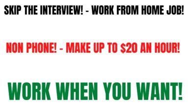Skip The Interview - Work From Home Job | Non Phone |  Work When You Want |  Make Up To $20 An Hour