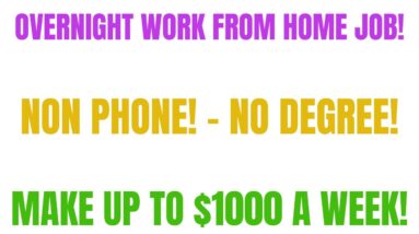 Overnight Work From Home Job Non Phone Work From Home Job | No Degree | Make Up To $1000 A Week