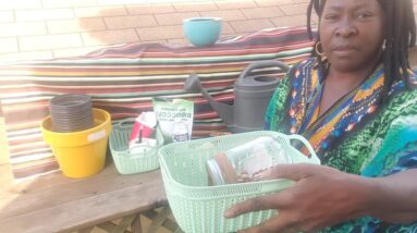 How to Grow Broccoli Sprouts | Benefits of Broccoli Sprouts