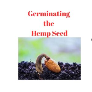 How to Grow Hemp from Seed | Benefits of Hemp Seeds