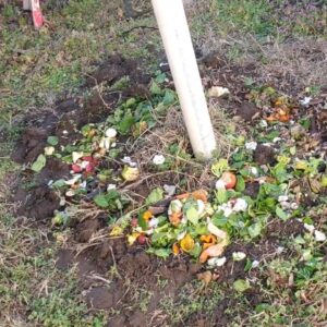 How to Replenish Soil with Fruit and Vegetable Scraps | Soil Replenish