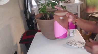 Insulin Plant | Costus Igneus Make your own organic fertilizer