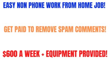 Easy Non Phone Work From Home Job | Removing Spam Comments | $600 A Week + Equipment Online Job 2023