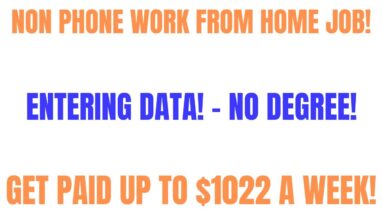 Non Phone Work From Home Job | Entering Data | Get Paid Up To $1022 A Week Online Job | Remote Jobs