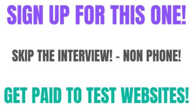Non Phone Work From Home Job | Skip The Interview | Anyone Can Do This | Get Paid To Test Websites