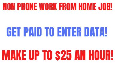 Get Paid To Enter Data | Non Phone Work From Home Job | Make Up To $25 An Hour Online Job Hiring Now