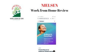 NIELSEN WORK FROM HOME REVIEW |  PAYS ON TIME