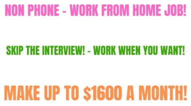 Skip The Interview | Work When You Want | Make Up To $1600 A Month Work From Home Job