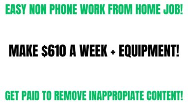Easy Non Phone Work From Home Job Get Paid To Remove Spam Comments Make $610 A Week + Equipment