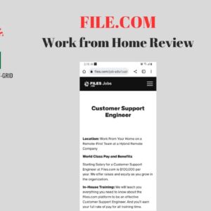 Pay:  $250/day No Experience | File.com work at-home review