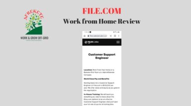 Pay:  $250/day No Experience | File.com work at-home review
