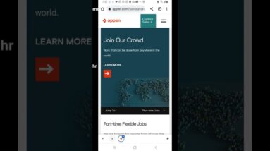 Pays up to $20hr / work at home review