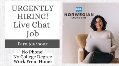 URGENT HIRE! NON-PHONE LIVE CHAT JOB | WORK FROM HOME | NO DEGREE | MINIMAL EXPERIENCE