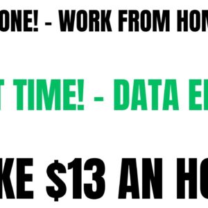 Non Phone Part Time Work From Home Job | Easy Data Entry Work At Home Job $13 An Hour