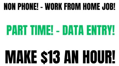 Non Phone Part Time Work From Home Job | Easy Data Entry Work At Home Job $13 An Hour