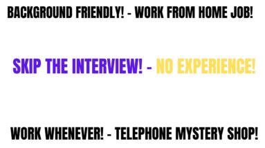 Background Friendly! Skip The Interview! - No Experience Work From Home Job Work When You Want!