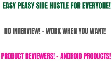 Easy Peasy Side Hustle For Everyone | Work When You Want  |  Get Paid To Be A Product Reviewer