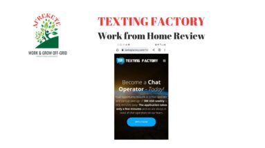 TEXTING FACTORY Work from Home Job Review