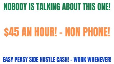 Nobody Is Talking About This One | $45 An Hour Work From Home Job Non Phone Work When You Want