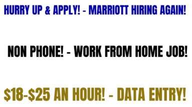 Hurry Up & Apply!  Non Phone Work From Home Job | Make $18-$25 An Hour | Data Entry Specialist